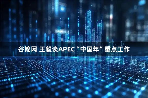 谷锦网 王毅谈APEC“中国年”重点工作